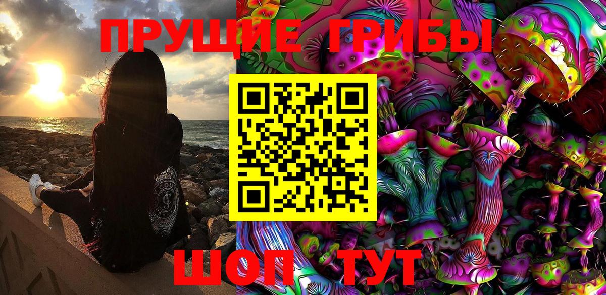 Камышин  Псилоцибиновые грибы мицелий  Вход с VPN 